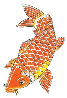 Our menus - Miss Kō