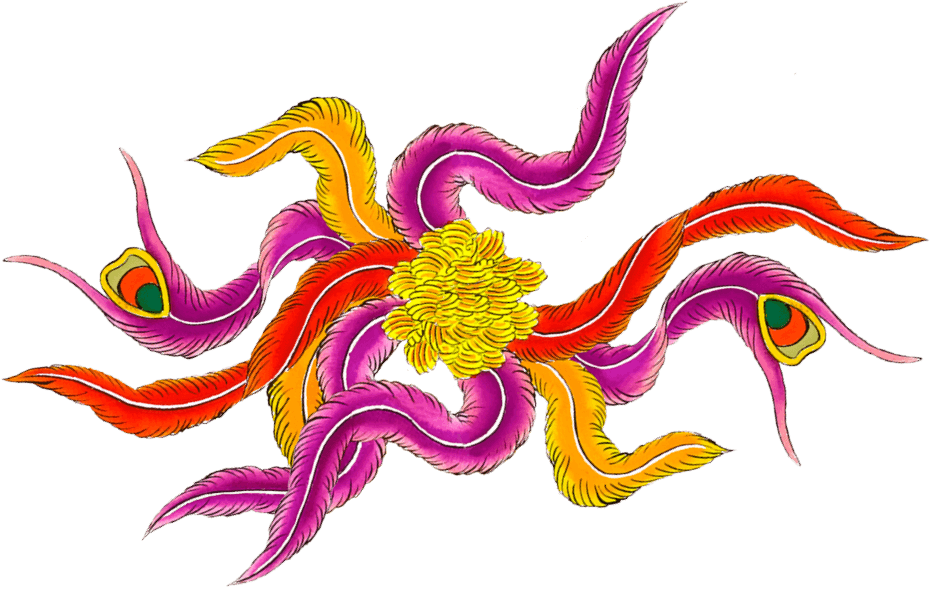 Miss Ko - feathers drawing